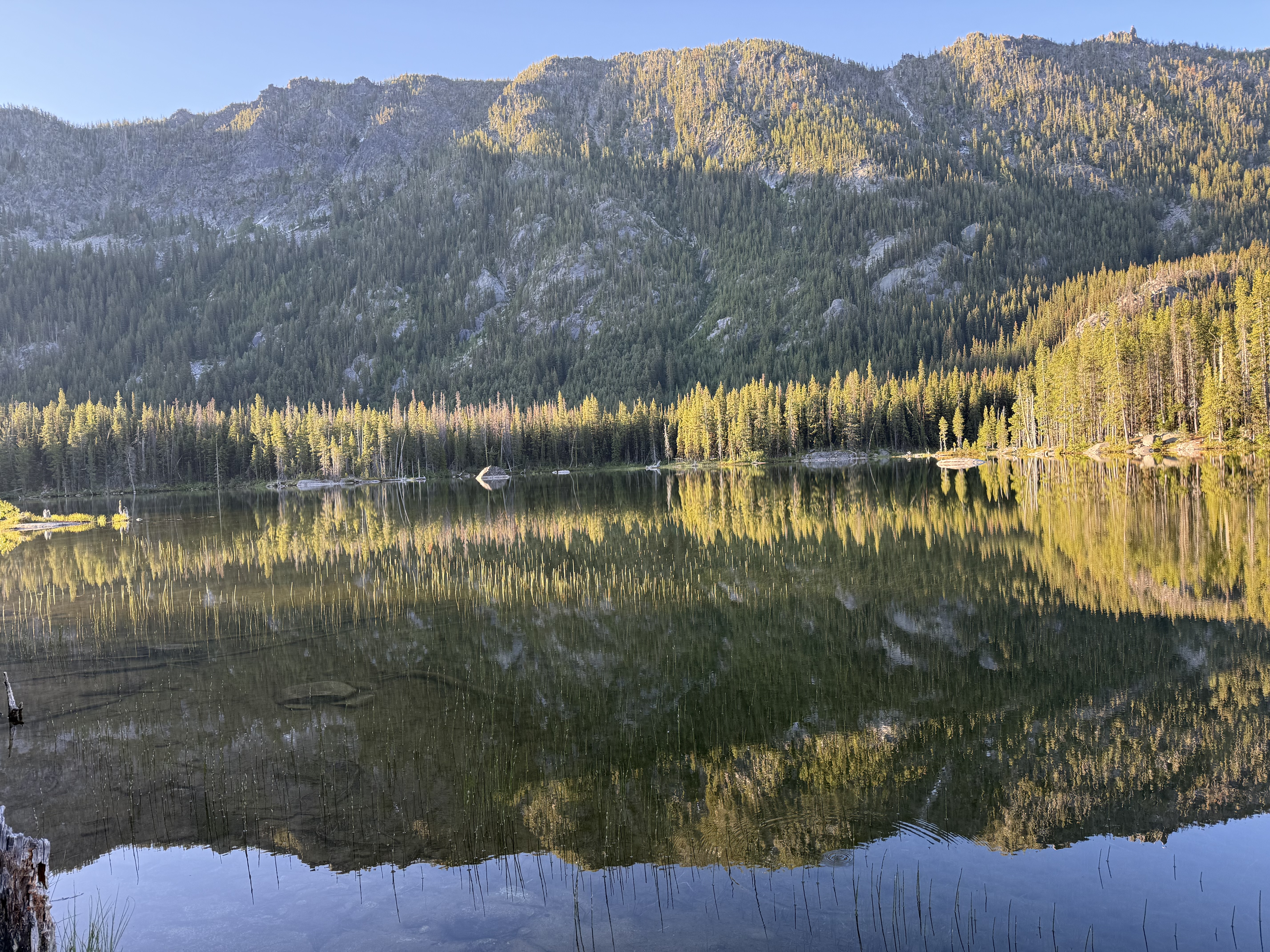Perfect mirror reflection of trees and mountains in Snow Lake at sunrise