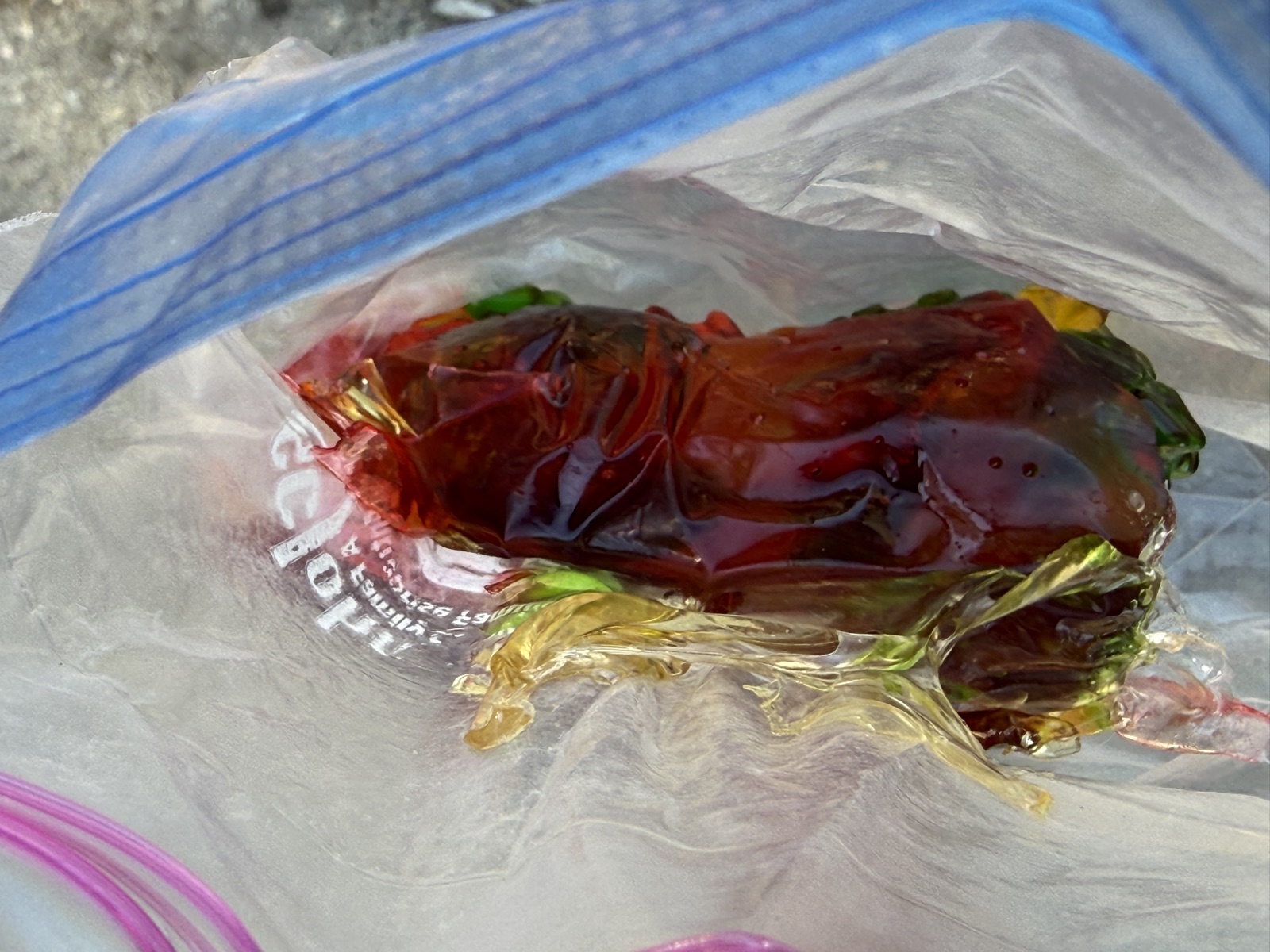 A ziplock bag containing gummy bears melted into a single multicolored blob
