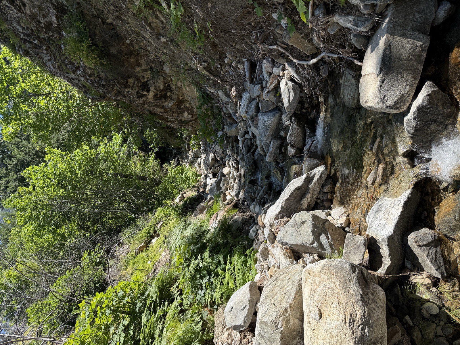 Rex Creek flowing through rocks in a shaded ravine