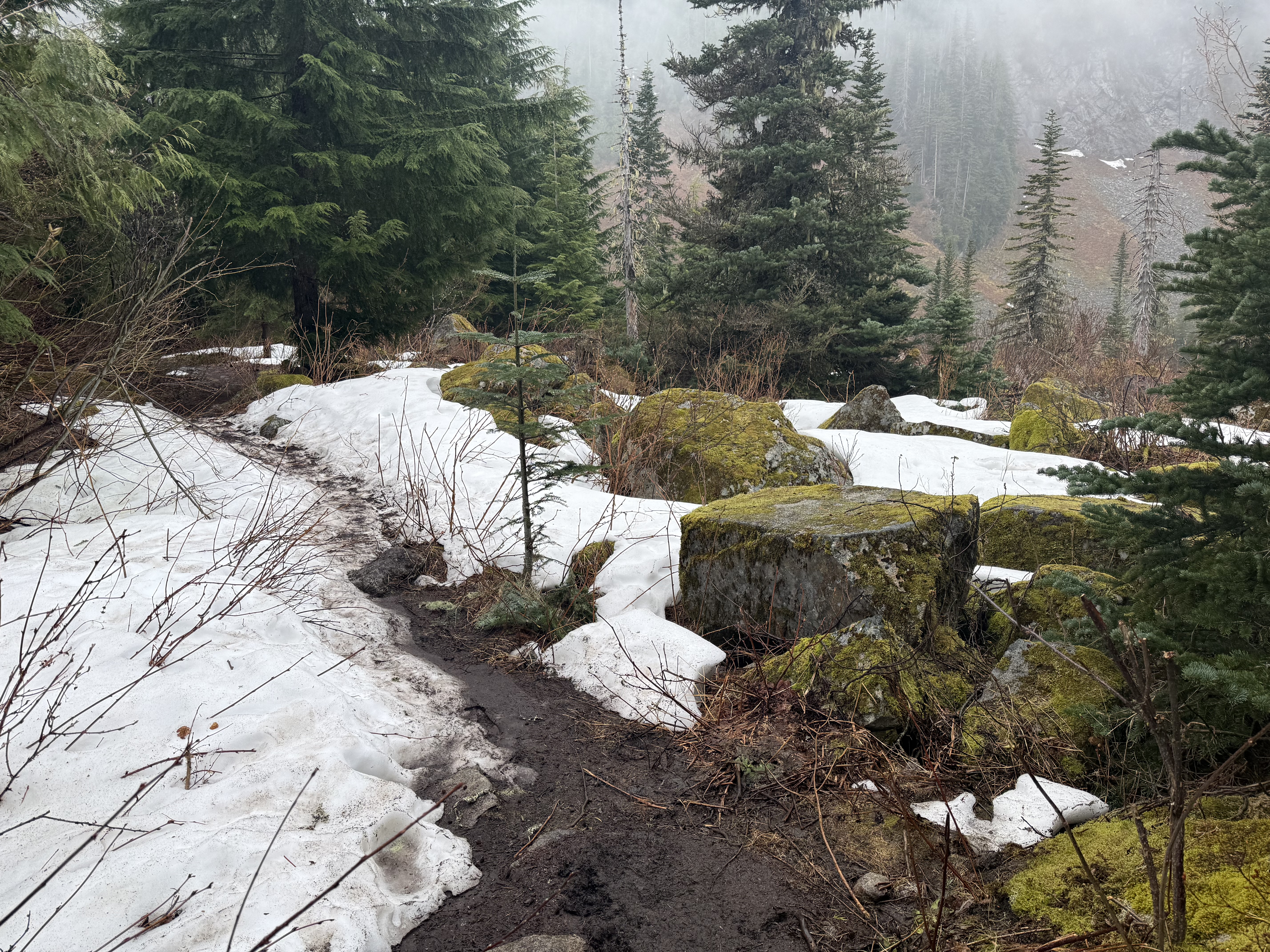 Snow patches on the trail near the summit with mossy boulders and mist in the background