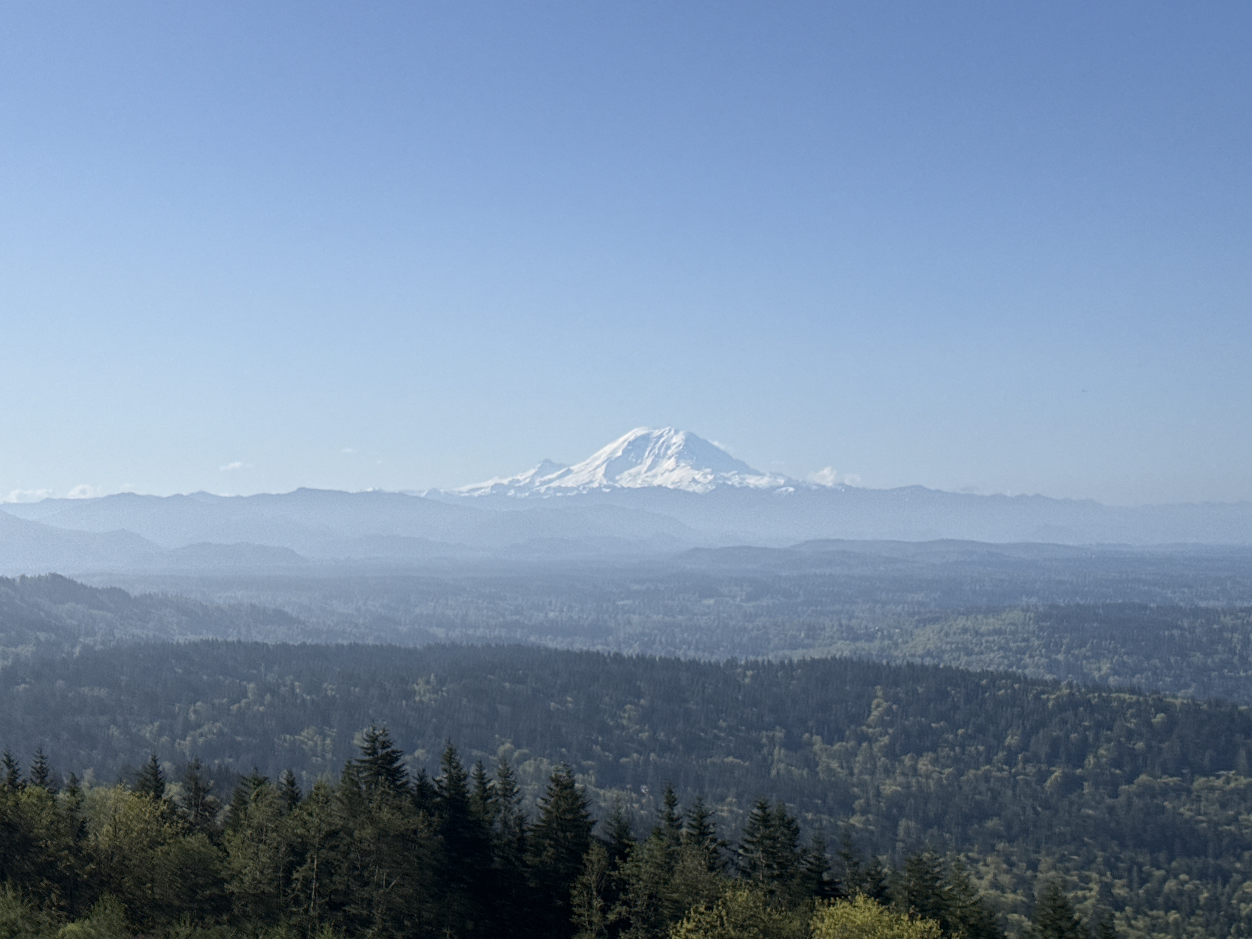Mount Rainier visible through haze from Tiger Mountain trail