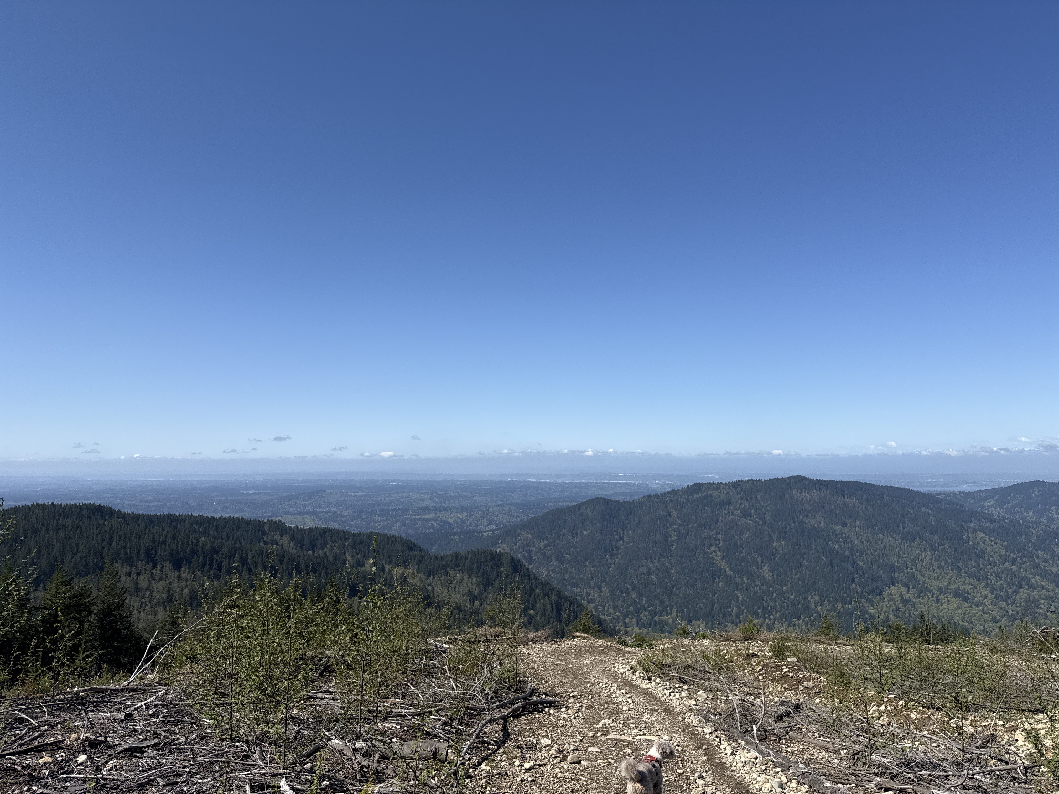 Panoramic summit view from West Tiger 3 looking toward Lake Sammamish and Bellevue